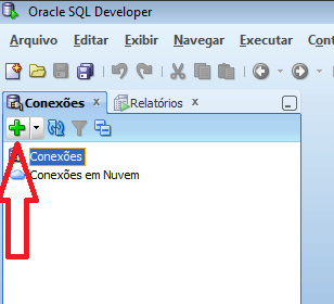 botão para criar uma conexão com banco de dados no SQL
Developer