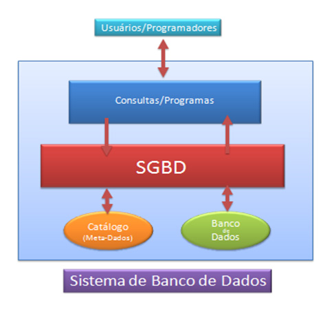 database-organograma